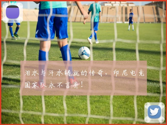 泪水与汗水铸就的传奇，印尼电竞国家队永不言弃！