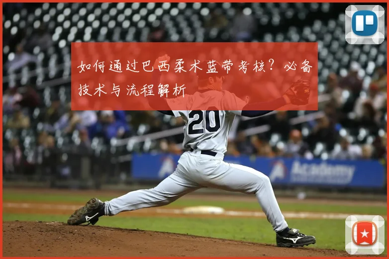 如何通过巴西柔术蓝带考核？必备技术与流程解析