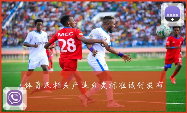 体育及相关产业分类标准试行发布