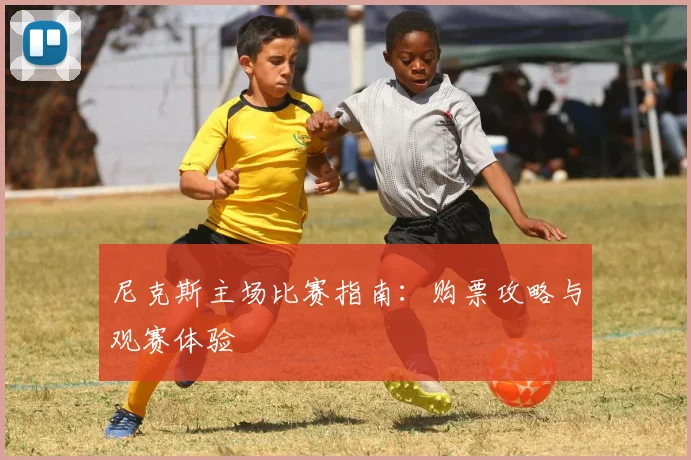 尼克斯主场比赛指南：购票攻略与观赛体验