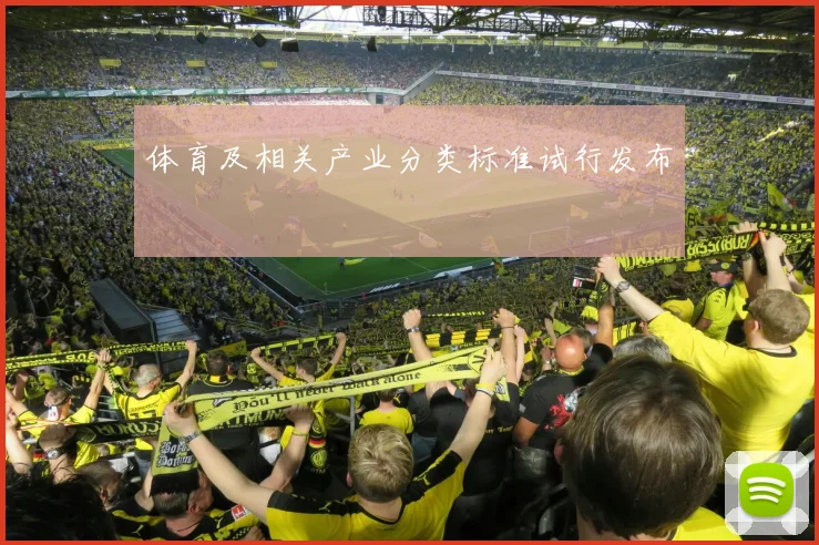 体育及相关产业分类标准试行发布