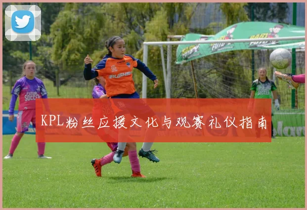 KPL粉丝应援文化与观赛礼仪指南